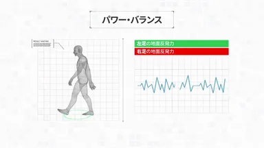 歩行スピードと転倒リスクの相関関係