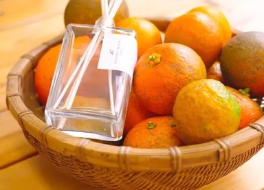 Ethical Reed diffuser 3