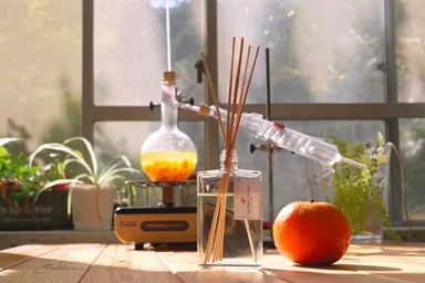 Ethical Reed diffuser 4