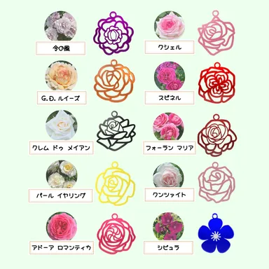 全10種のラインナップ