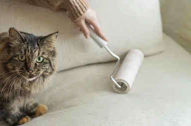 ビフォー使用イメージ