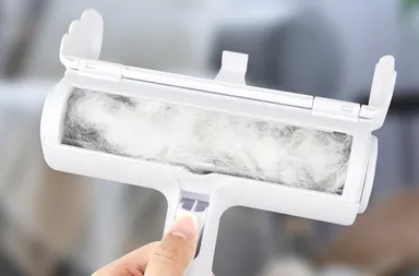 本体内イメージ