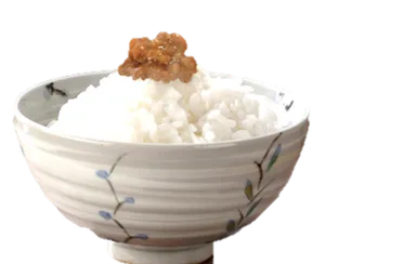 ご飯の上のもろみ