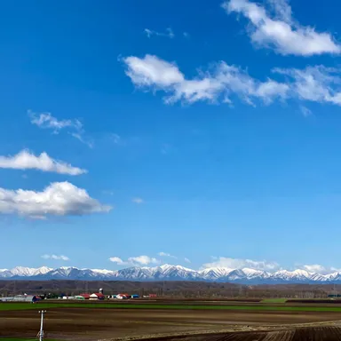 最近の十勝の風景