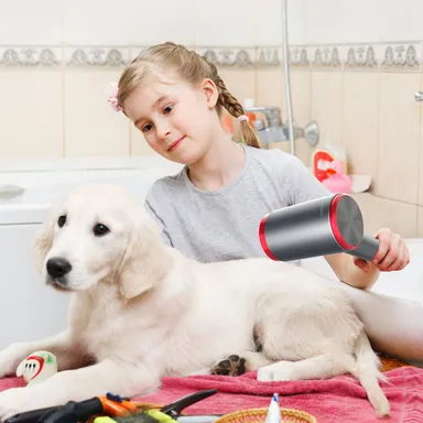 コードレスヘアドライヤー「Lylux」　14