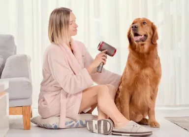 コードレスヘアドライヤー「Lylux」　7