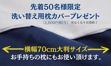 数量限定枕カバープレゼント企画