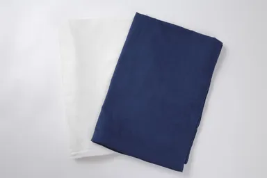 白と藍の2色展開