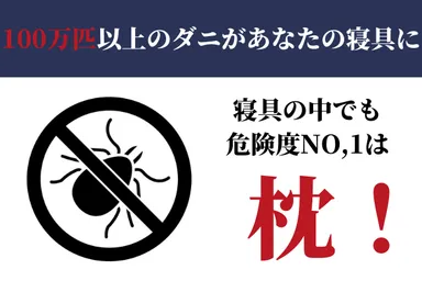 寝具に潜むダニは100万匹以上
