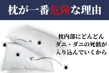 枕にはダニが沢山潜んでいます