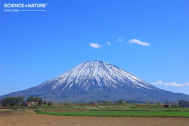 北海道ニセコ地方の天然水使用