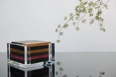 銘木コースターLegna nero 165,000円 (税込、送料別)(1)