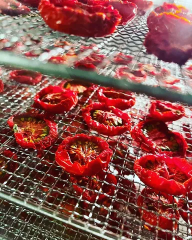 ドライロココトマト