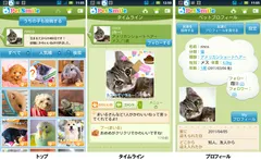 ペットスマイル1
