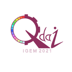 ●iGEM Qdaiロゴ