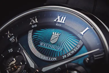 カーボンベイリミテッド