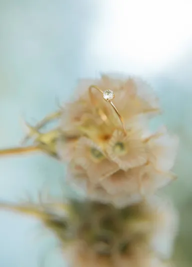 【Lillagom】lemon(リング)