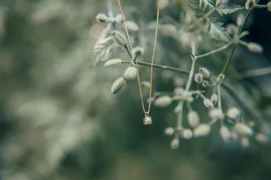 【Lillagom】sunny(ネックレス)