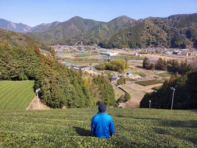 茶畑テラス設置予定地から足久保の里山を