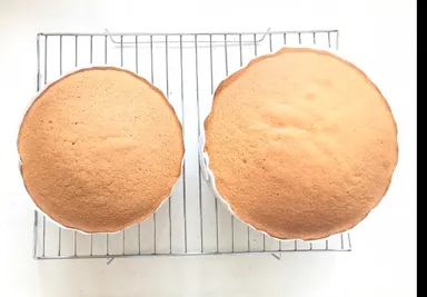 米粉スポンジ(グルテンフリー)