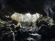 樹海の洞窟