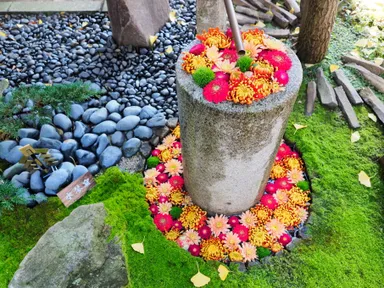 行田花手水　イメージ