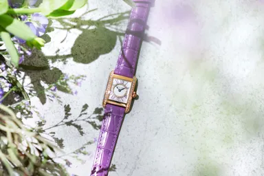 FC-200MPWVDCD14(日本限定モデル、限定200本、280,500円)