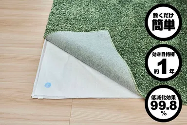 カーペットの下にも