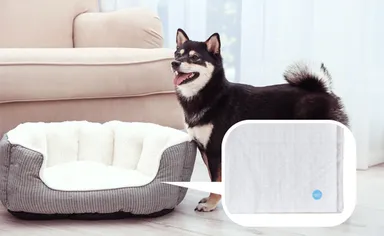 ペットにも安心