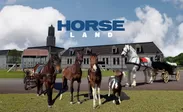 ホースランドの馬たち