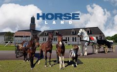 ハウステンボスで乗馬体験ができる『ホースランド』が頑張る馬たちの日常を守るためクラウドファンディングを実施  開始から1週間で目標金額300万円達成！｜ホースランドのプレスリリース