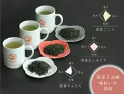 シングルオリジン煎茶3種