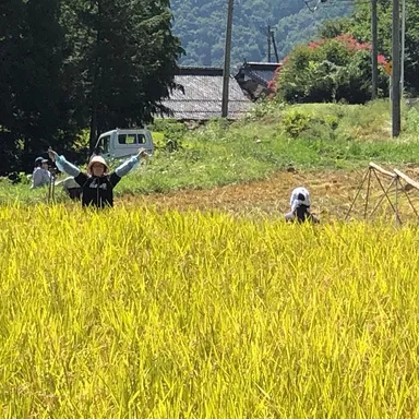 稲刈り頑張るぞ！2020