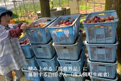 img_262418_3.jpg