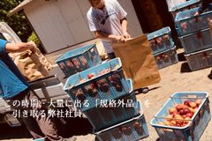 img_262418_6.jpg
