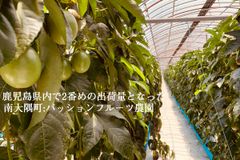 img_262418_7.jpg