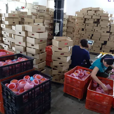 徹底した品質管理