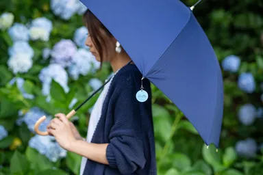いつもの傘のワンポイントに