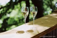 日本でも世界でも、レストランやバーでシャンパーニュをグラスで提供することが多くなってきました。