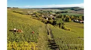 シャンパーニュ地方の景観は、ブドウ畑の斜面や絵のように美しい村々を特徴としており、ワイン生産者は今日、持続可能で環境に優しい方法を用いています。
