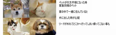 ペットが行方不明になったとき