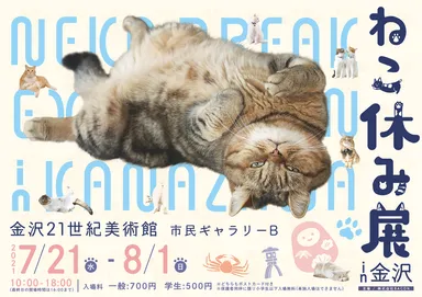 キービジュアル(横)