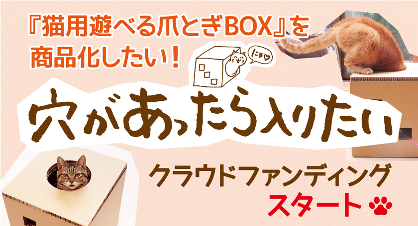 猫用遊べる爪とぎボックス 穴があったら入りたい クラウドファンディングを開始 株式会社ゴシンボクのプレスリリース 猫用遊べる爪とぎボックス 穴があったら入りたい クラウドファンディングを開始 株式会社ゴシンボクのプレスリリース