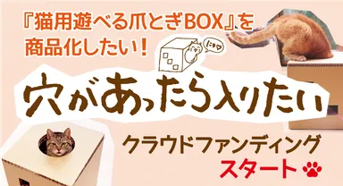 CFスタートお知らせ画像