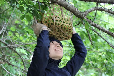 無農薬梅収穫と梅シリーズづくり体験