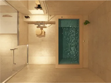 Premier MAISON Top View