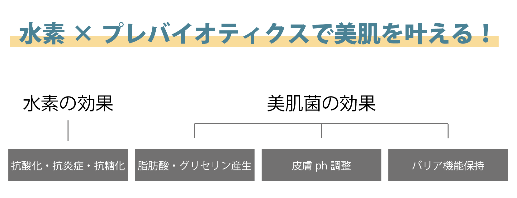 保証書付】 アメイジングジェイワールド Regen H2 ヘアトリートメント プラス リキッド2剤 水素 スキンケア おすすめ ランキング しみ  そばかす 肌 ふっくら シミ ソバカス お肌 ケア 透明感 サロン専売 fucoa.cl