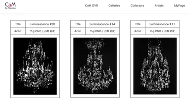 ＜CaM OVR展示画面イメージ＞ (C)Yuji ONO／小野祐次 Courtesy of ShugoArts