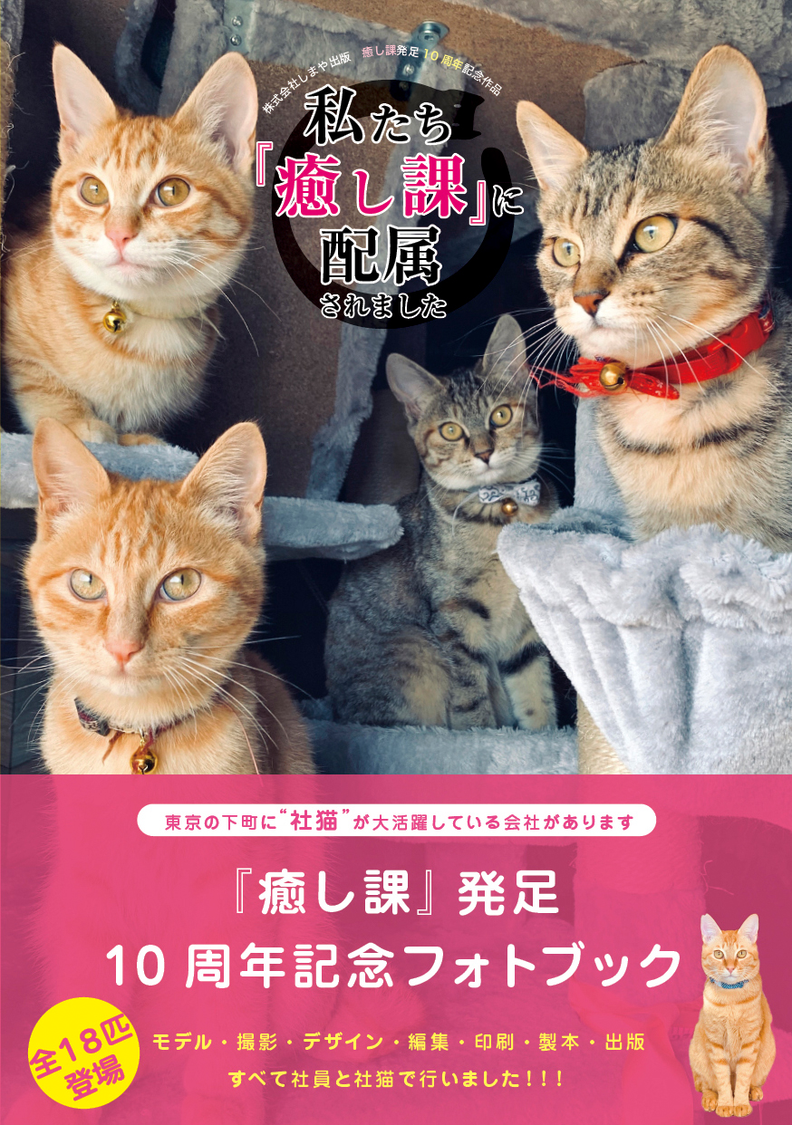 町工場で保護猫の 社猫 が 癒し課 として大活躍 癒し課 発足10周年記念として制作したフォトブック 私たち 癒し 課 に配属されました が6 22発売 株式会社しまや出版のプレスリリース