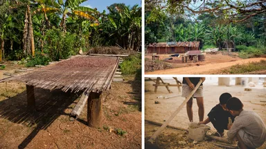 カカオ農家の現実